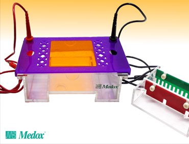 Electrophoresis